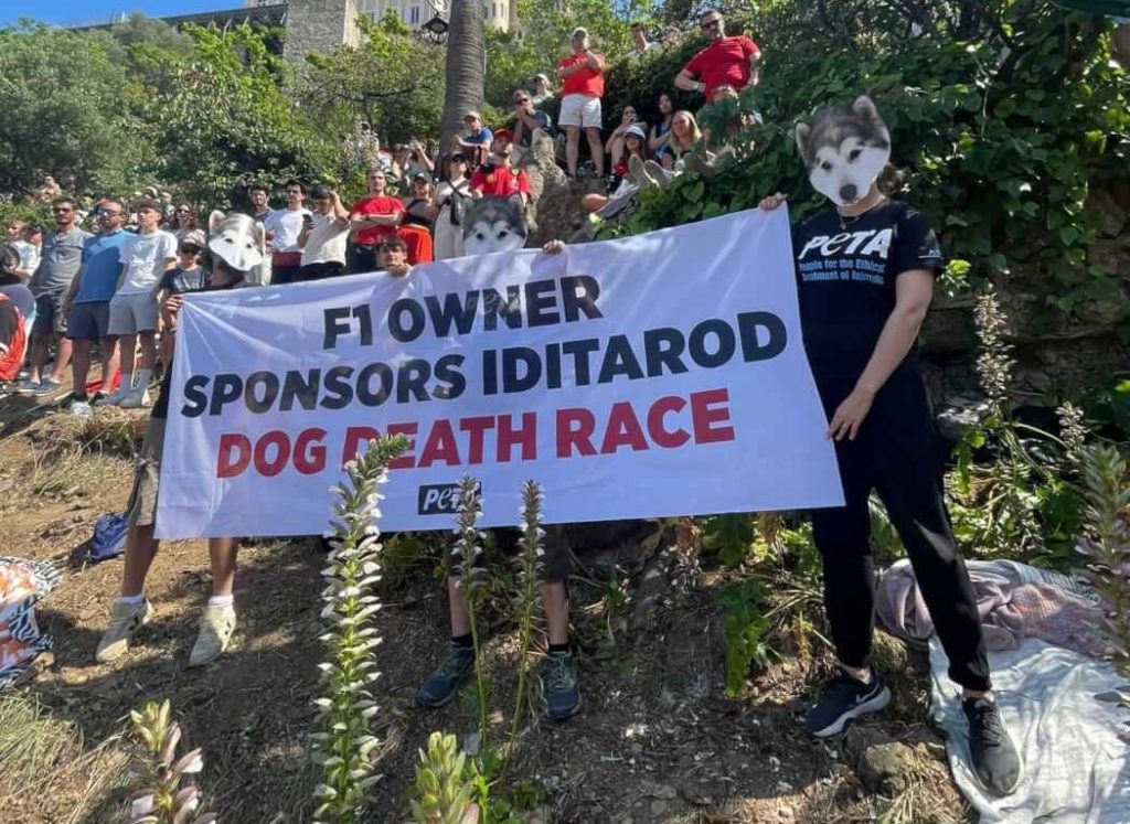 Lewis Hamilton,PETA activists